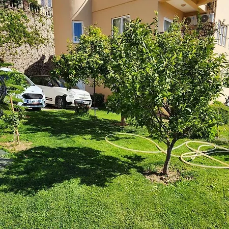 Ferdi Kiralama * 阿拉尼亚